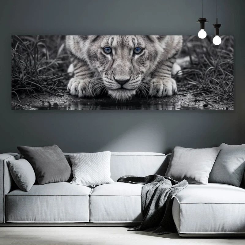 Aluminiumbild gebürstet Eindrucksvolles Löwenjunges Spiegelbild Panorama