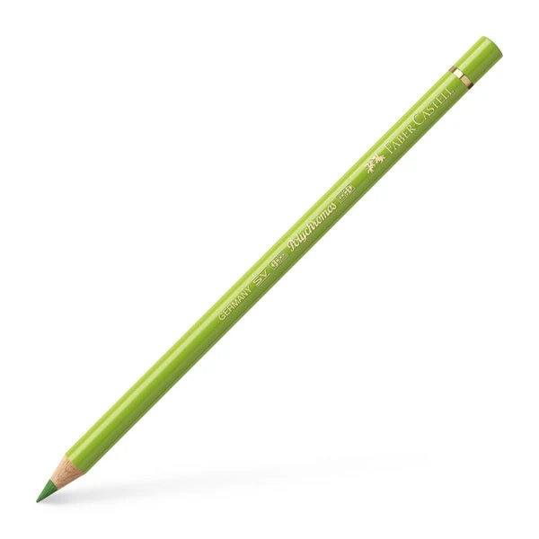 Polychromos Colored Pencil