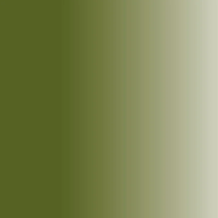 Daler-Rowney GEORGIAN Oil Paint 38 ml