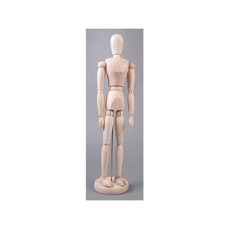 Wooden Human Body Model, Male, 40 cm