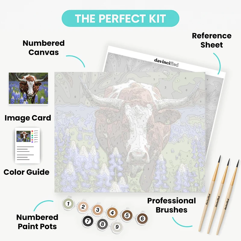 Longhorn Bull in Bluebonnets - Paint by Numbers Kit