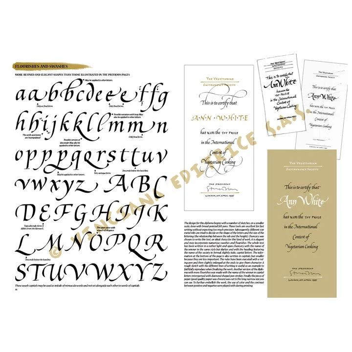 Leonardo Collection 37 Calligraphy