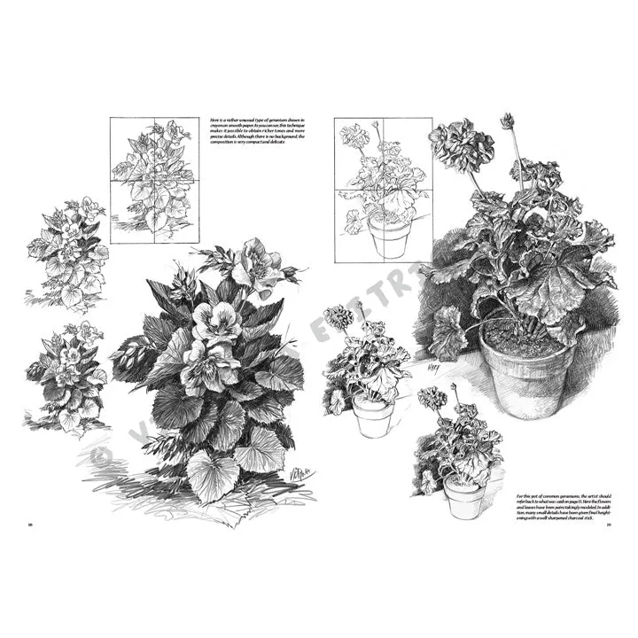 Leonardo Collection 21 Flowers