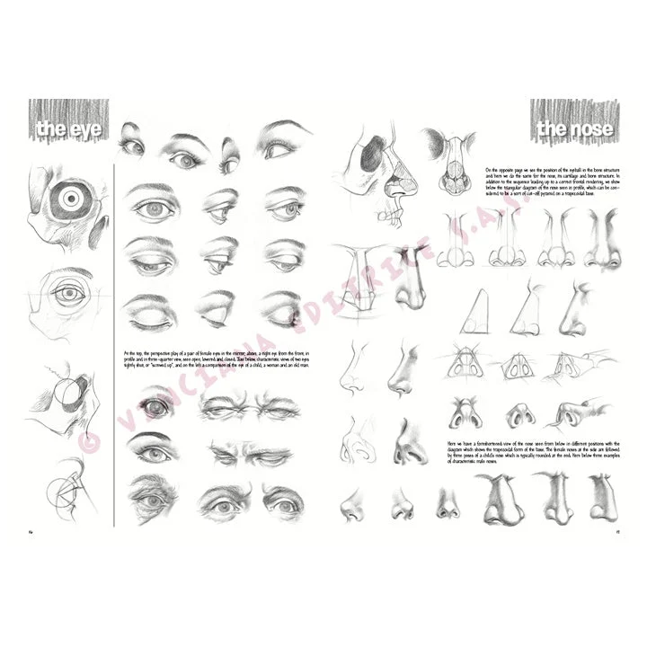 Leonardo Collection 03 Drawing Basics