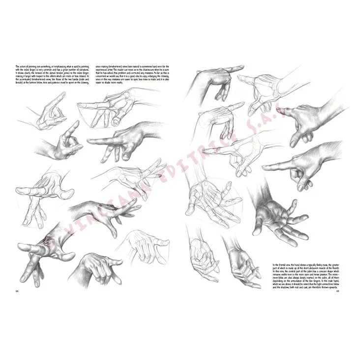 Leonardo Collection 03 Drawing Basics