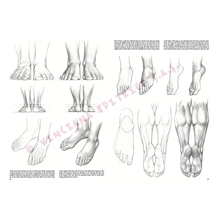 Leonardo Collection 03 Drawing Basics