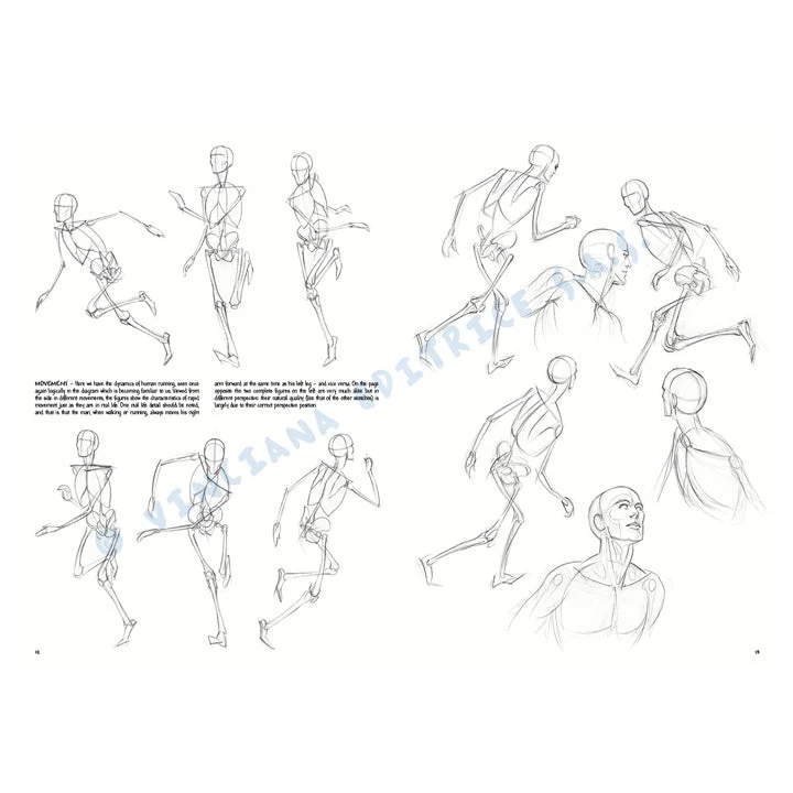 Leonardo Collection 02 Fundamentals of Drawing