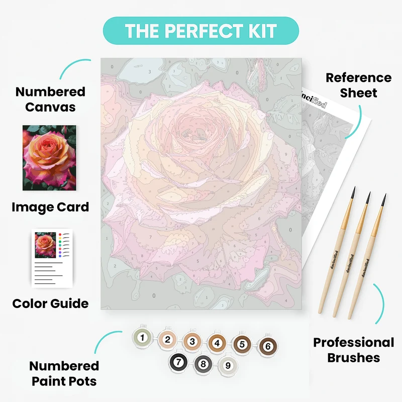 Vibrant Multi-Colored Rose - Paint by Numbers Kit
