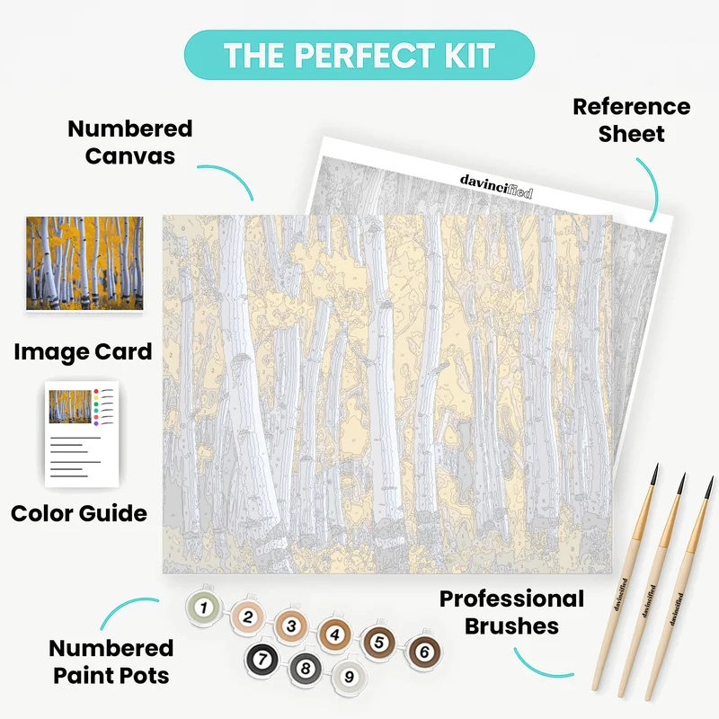 Autumn Birch Forest - Paint by Numbers Kit