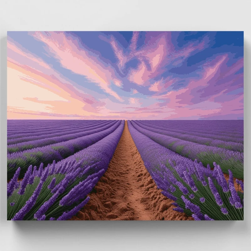 Lavender Field Sunset - Paint by Numbers Kit