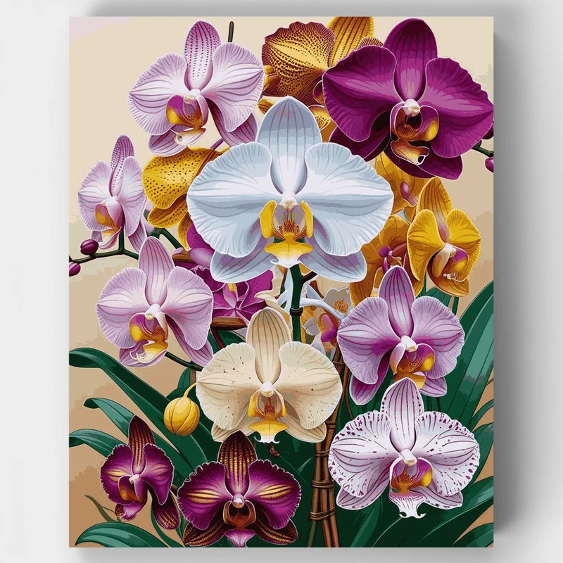 Vibrant Orchid Collection - Paint by Numbers Kit