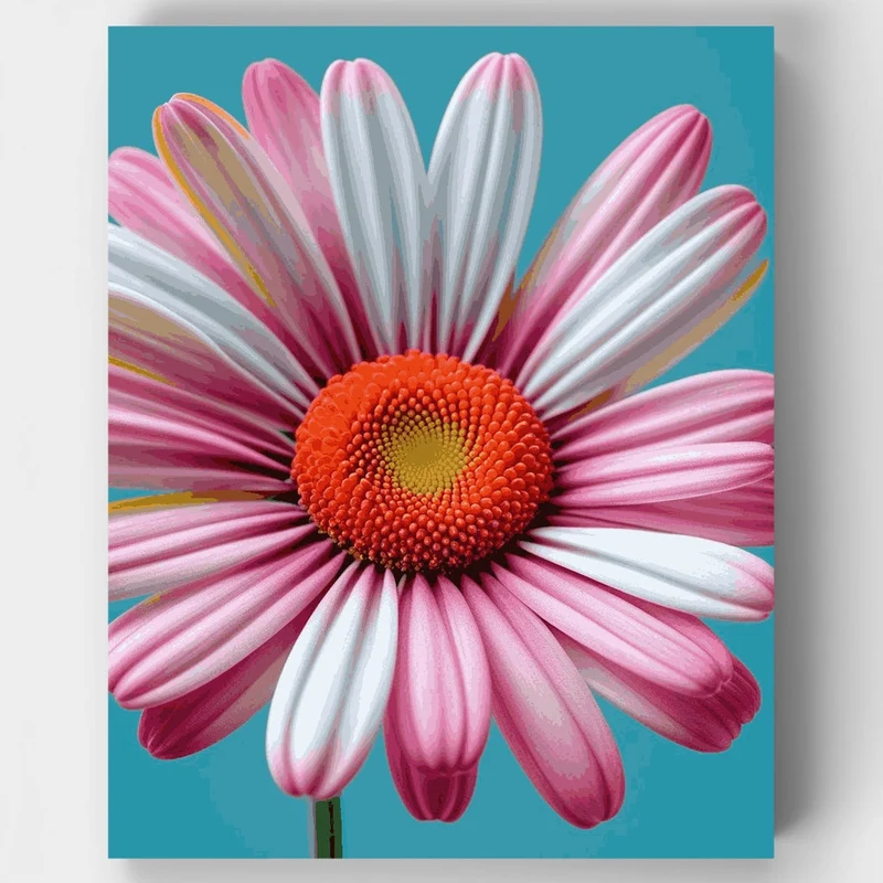 Pink Daisy Flower - Paint by Numbers Kit