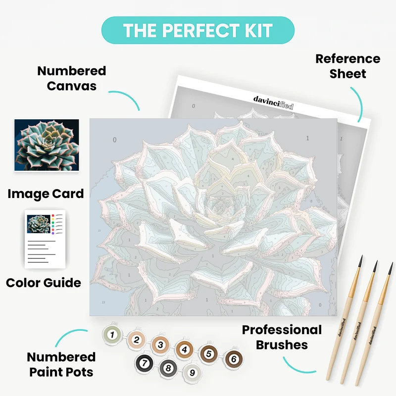 Stunning Succulent Spiral - Paint by Numbers Kit