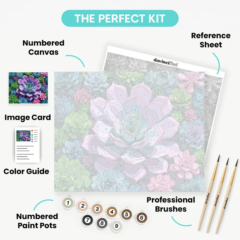 Colorful Succulent Rosette Garden - Paint by Numbers Kit