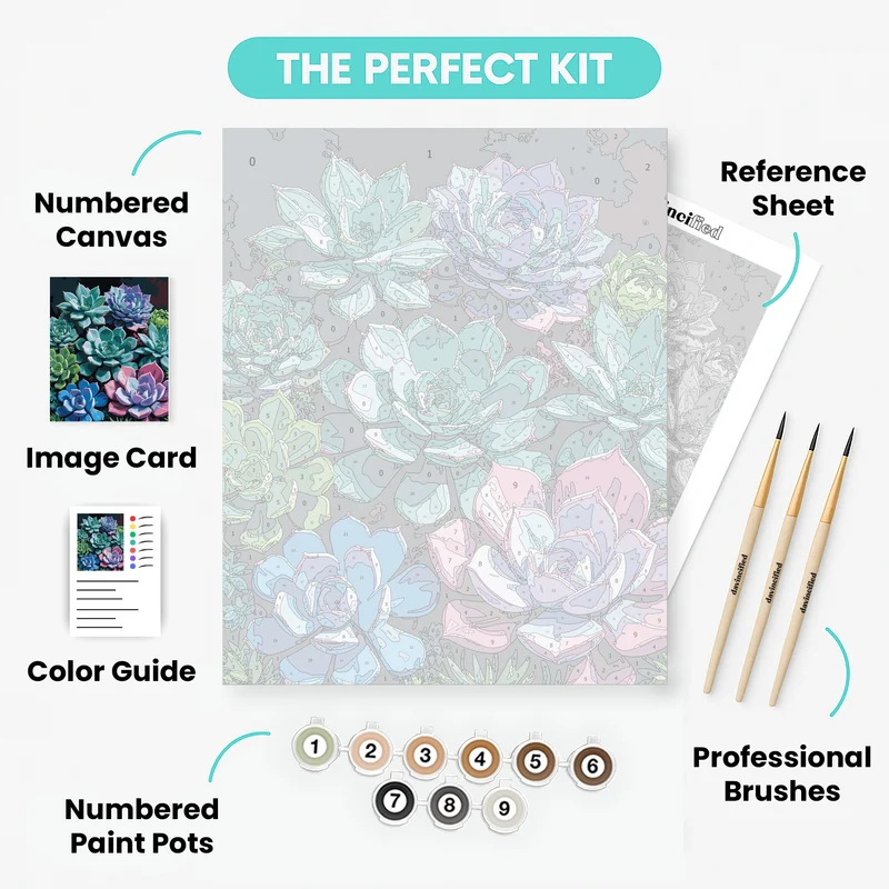 Rainbow Succulent Collection - Paint by Numbers Kit