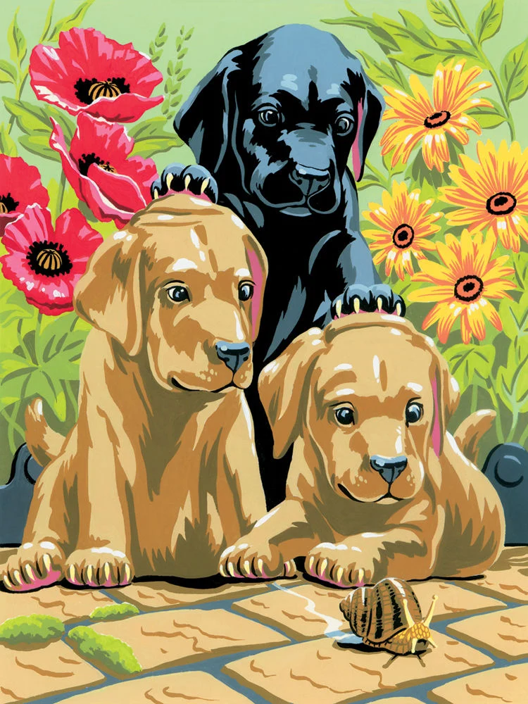 Creative Painting Set, A4, Labrador Puppies
