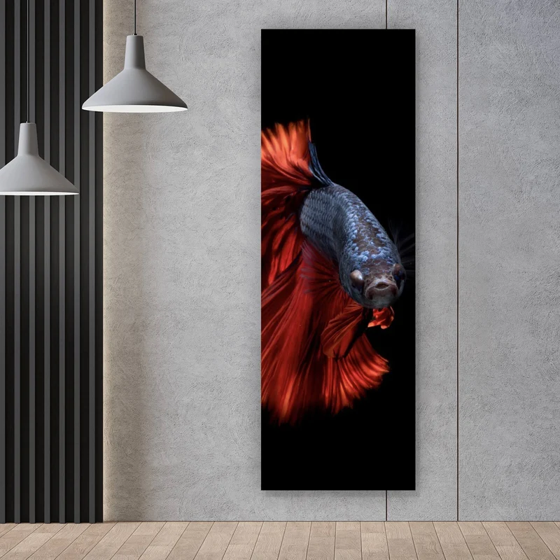 Leinwandbild Eleganter Betta Fisch mit leuchtend roten Flossen Panorama Hoch