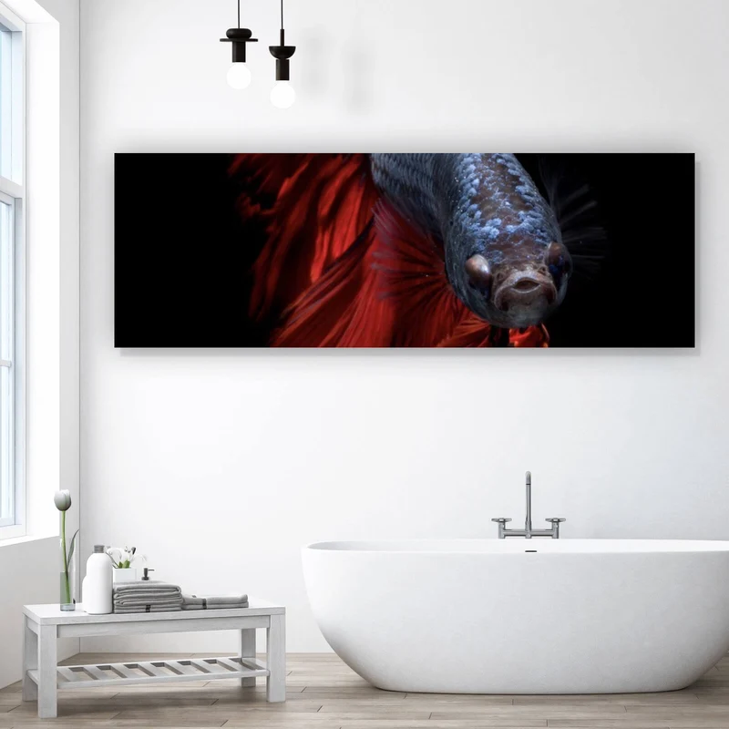 Spannrahmenbild Eleganter Betta Fisch mit leuchtend roten Flossen Panorama
