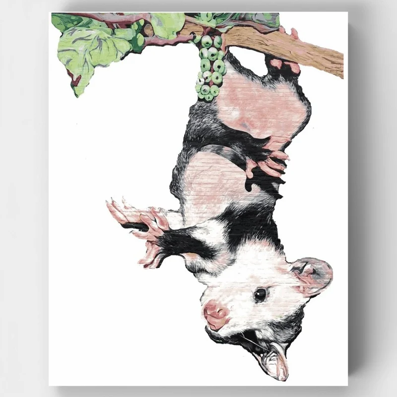 Petunia Possum All By Her Lonesome - Paint by Numbers Kit