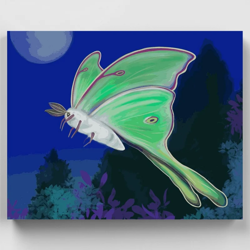 Luna Dream - Paint by Numbers Kit
