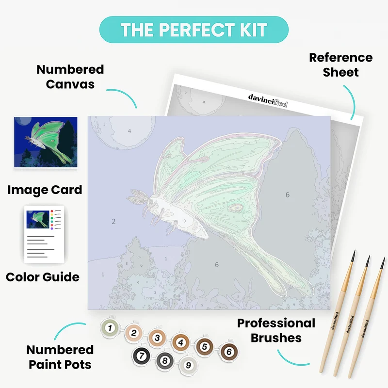 Luna Dream - Paint by Numbers Kit