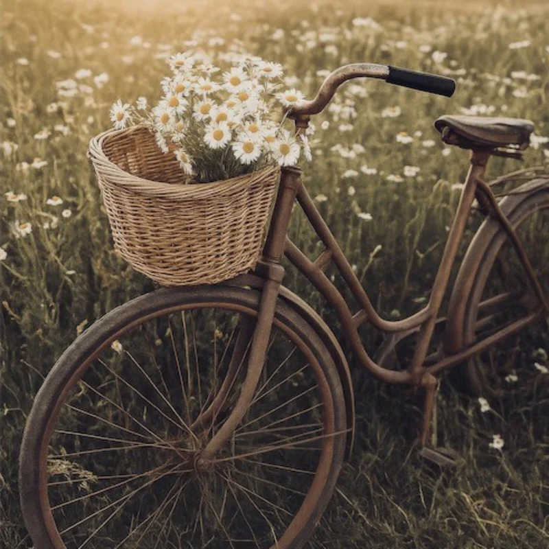 Aluminiumbild gebürstet Fahrrad im Feld mit Korb voller Blumen Quadrat