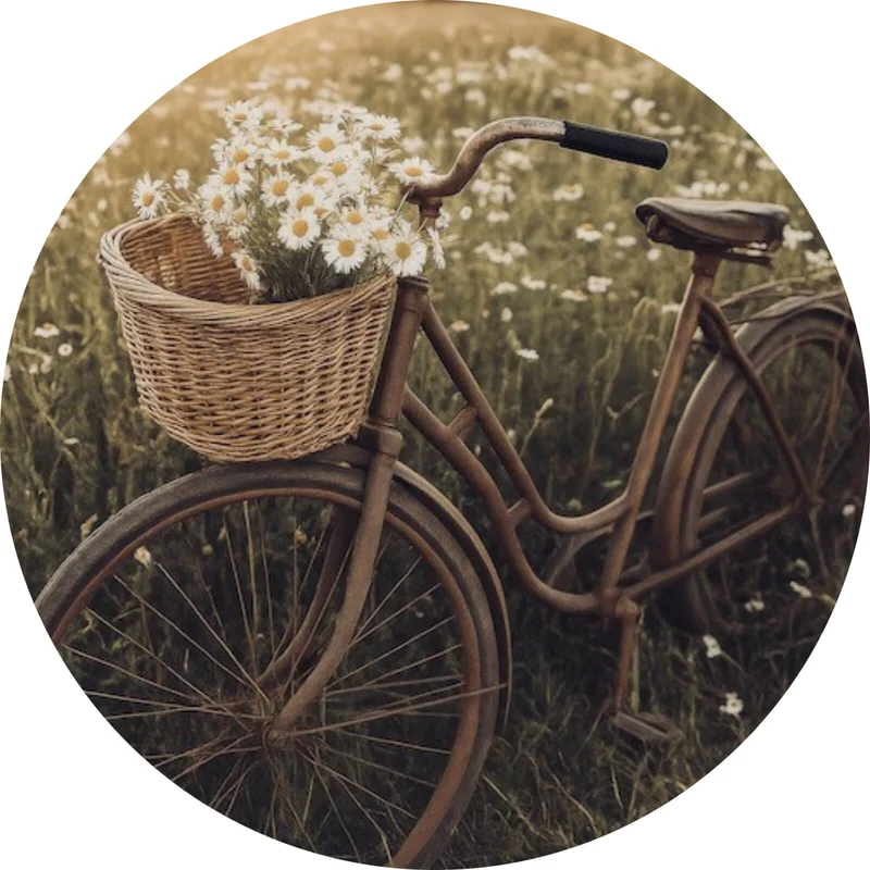 Aluminiumbild gebürstet Fahrrad im Feld mit Korb voller Blumen Kreis