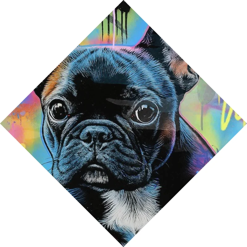 Leinwandbild Bunte Bulldogge vor lebendigem Graffiti Hintergrund Raute