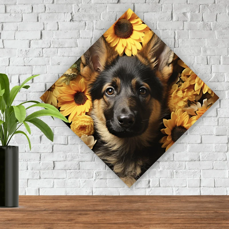 Aluminiumbild gebürstet Niedlicher Schäferhund umgeben von gelben Blumen Raute