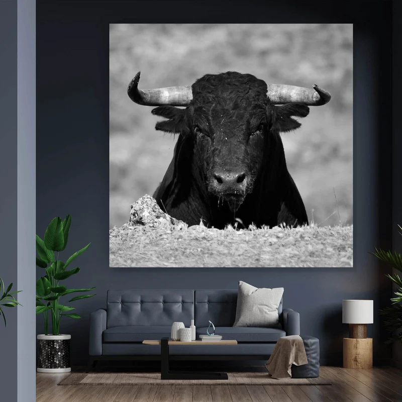 Aluminiumbild gebürstet Stier Schwarz Weiß Quadrat