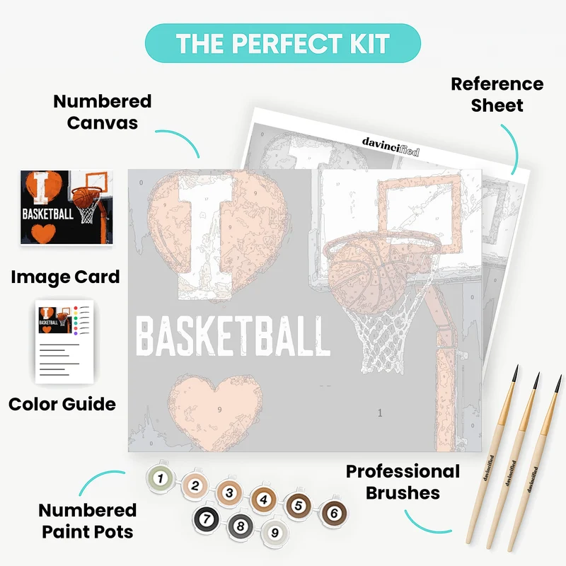 Illinois Basketball Love - Paint by Numbers Kit