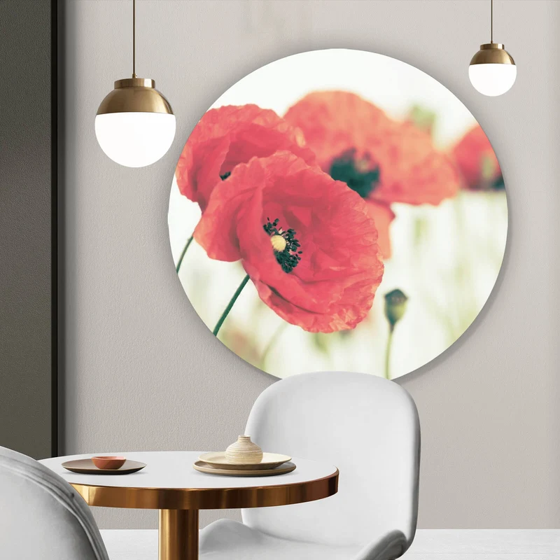 Aluminiumbild gebürstet Leuchtend rote Mohnblumen im sanften Morgenlicht Kreis