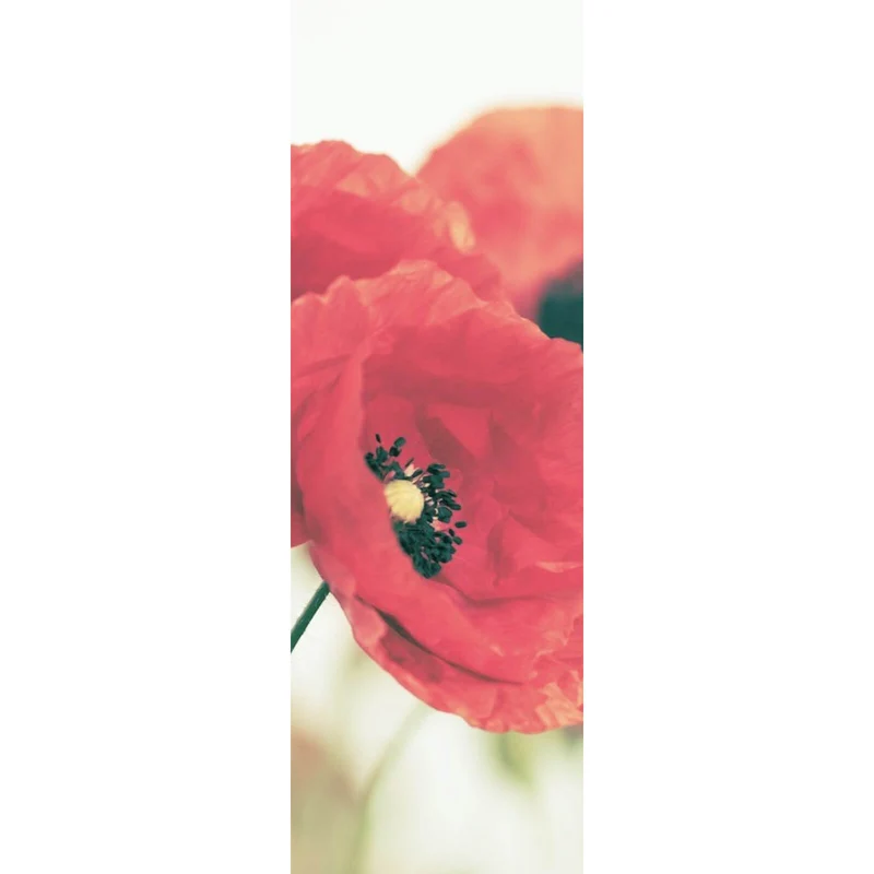 Aluminiumbild Leuchtend rote Mohnblumen im sanften Morgenlicht Panorama Hoch