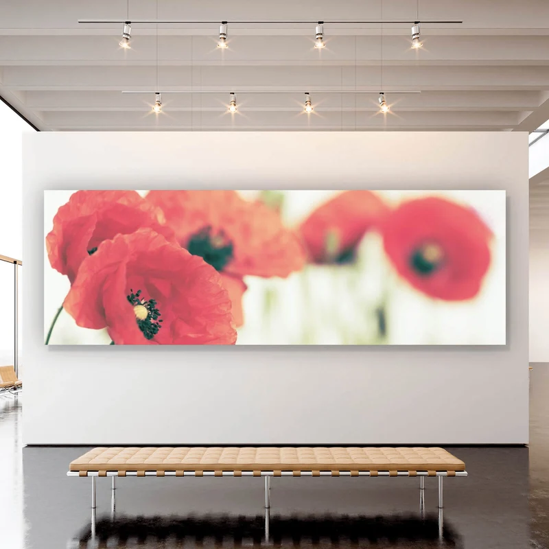 Poster Leuchtend rote Mohnblumen im sanften Morgenlicht Panorama
