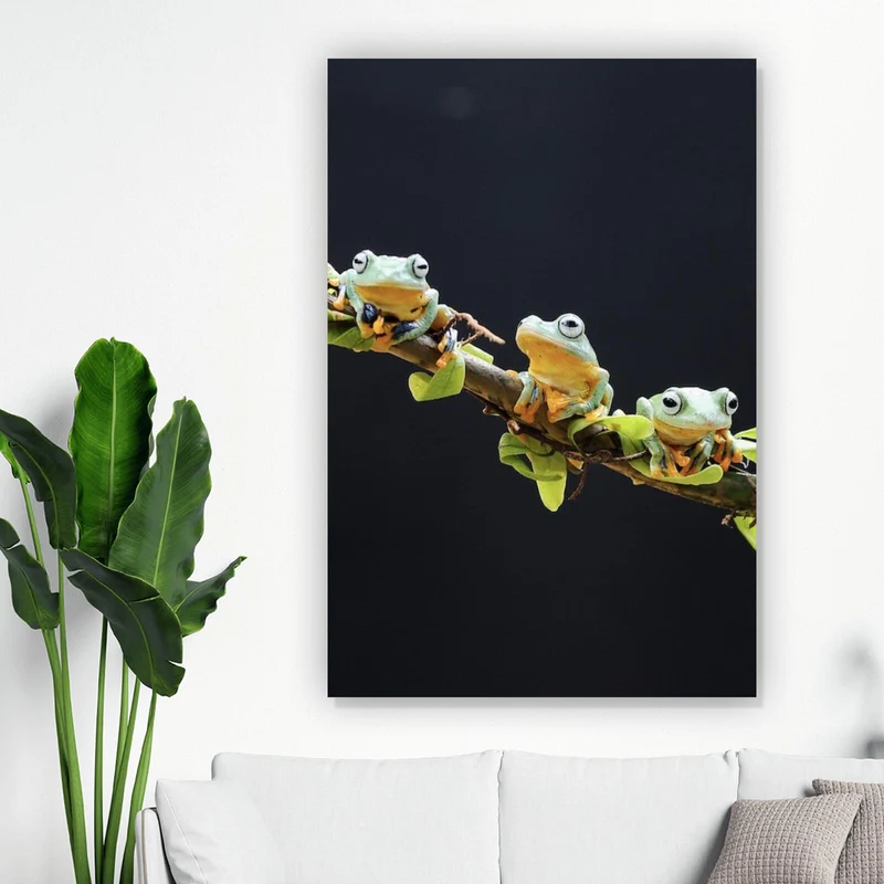 Acrylglasbild Fünf Frösche sitzen auf einem Ast Hochformat