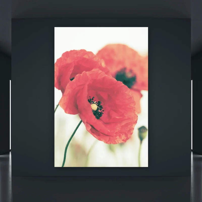 Acrylglasbild Leuchtend rote Mohnblumen im sanften Morgenlicht Hochformat