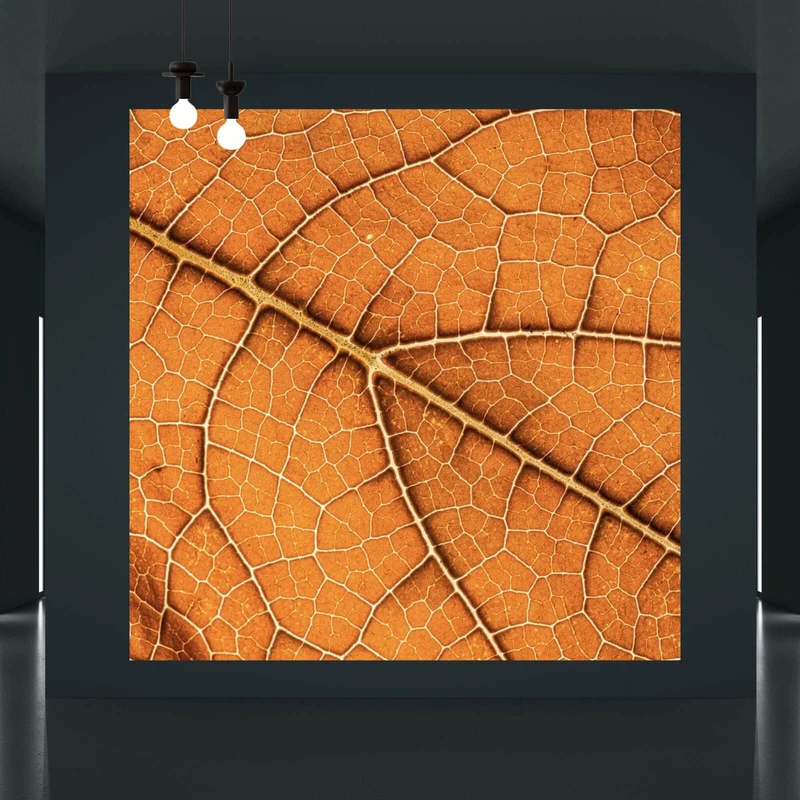 Leinwandbild Detailansicht eines herbstlichen Blattes Quadrat