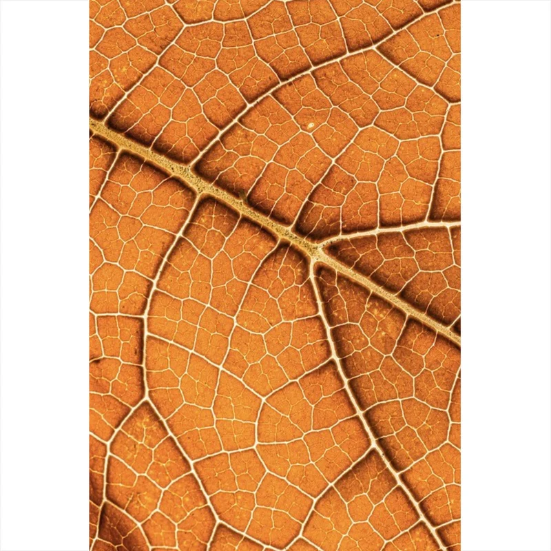 Aluminiumbild Detailansicht eines herbstlichen Blattes Hochformat