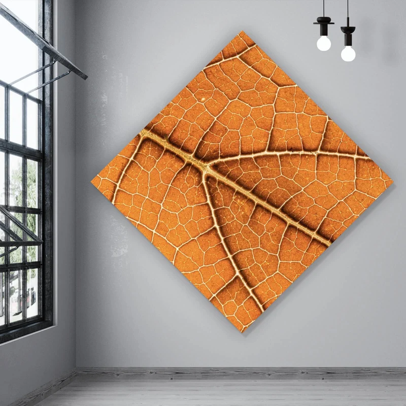 Leinwandbild Detailansicht eines herbstlichen Blattes Raute