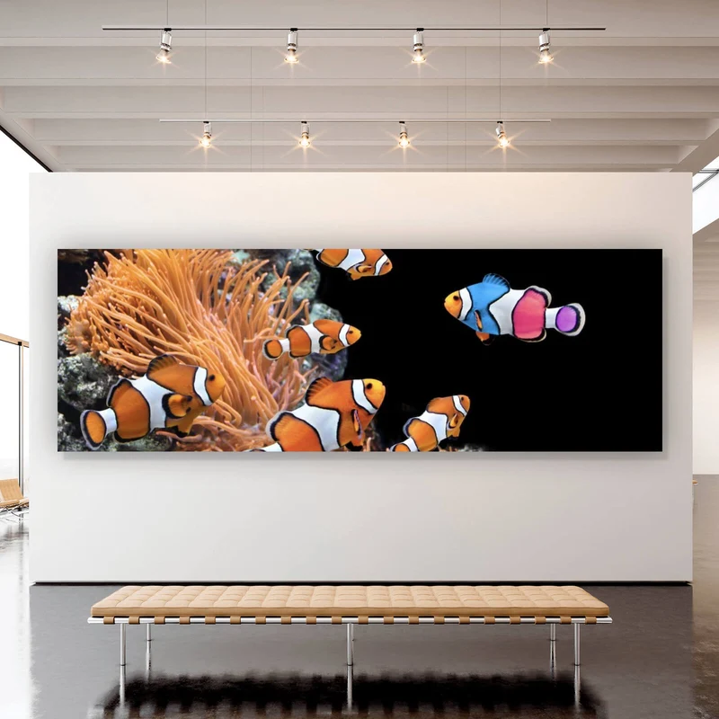 Spannrahmenbild Clownfische schwimmen im lebendigen Korallenriff Panorama