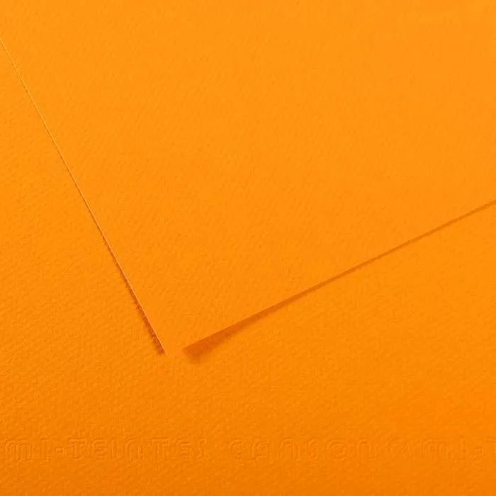Tónirani papir CANSON Mi-Teintes 50 x 65 cm – 160 g/m²