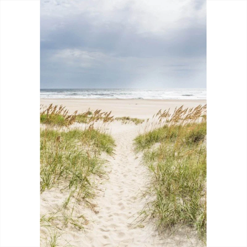 Leinwandbild Strandweg zwischen Dünen unter wolkigem Himmel Hochformat