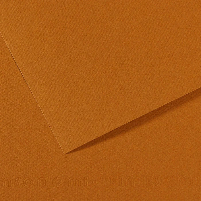 Carta per pastello CANSON Mi-Teintes A4 / 160 g/m² – 50 fogli