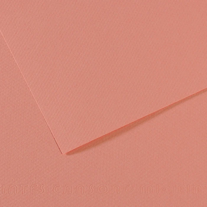 Carta per pastello CANSON Mi-Teintes A4 / 160 g/m² – 50 fogli