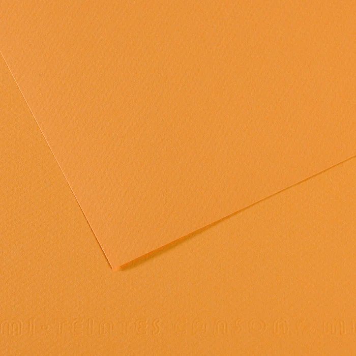 Carta per pastello CANSON Mi-Teintes A4 / 160 g/m² – 50 fogli