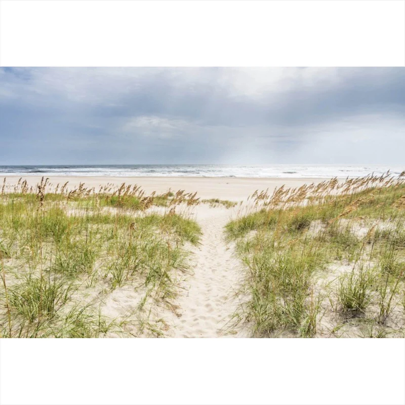 Spannrahmenbild Strandweg zwischen Dünen unter wolkigem Himmel Querformat