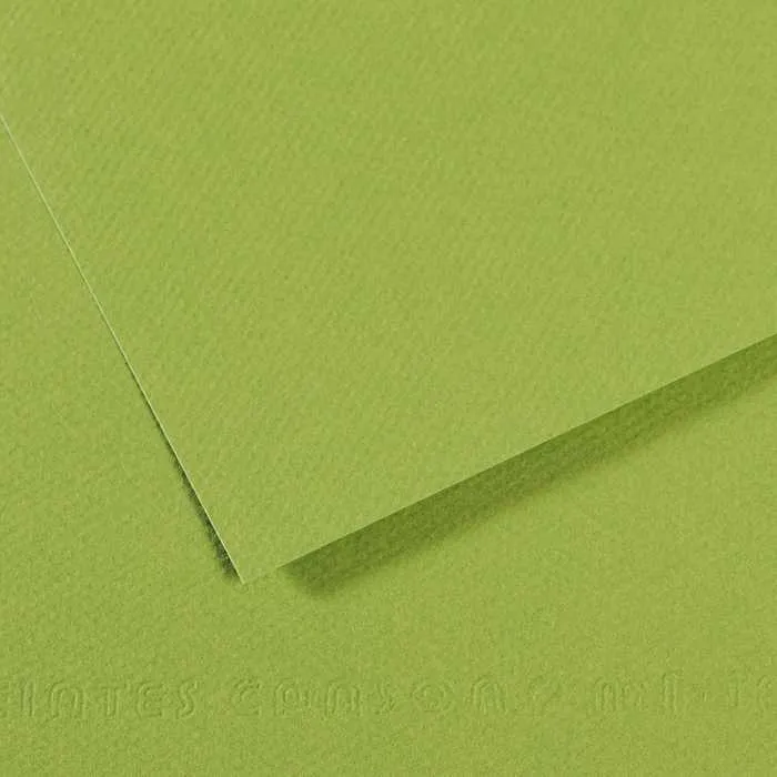 Toniran papir CANSON Mi-Teintes 50 x 65 cm – 160 g/m²