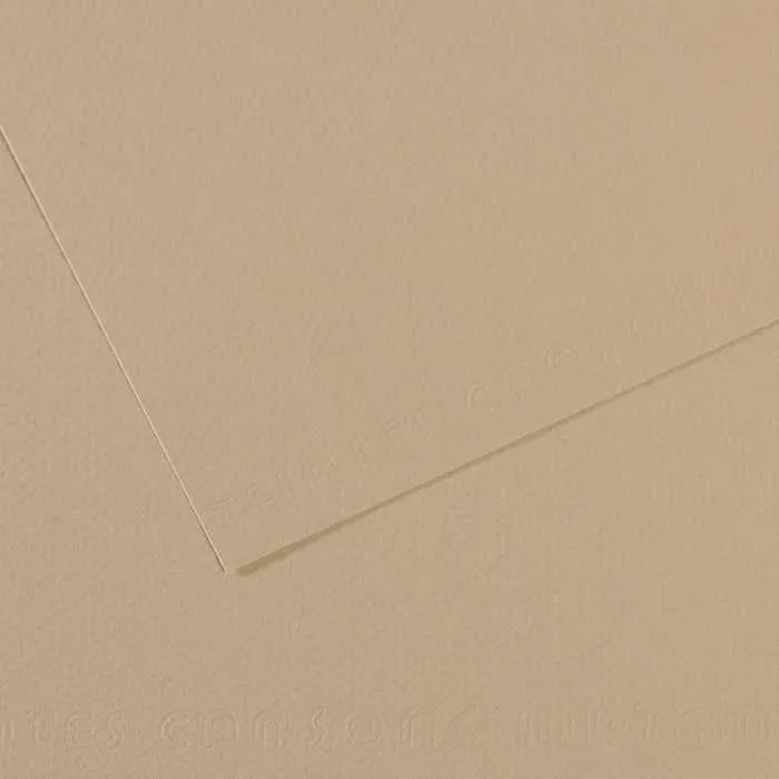Tónovaný papier Canson Mi-Teintes 50 x 65 cm – 160 g/m²