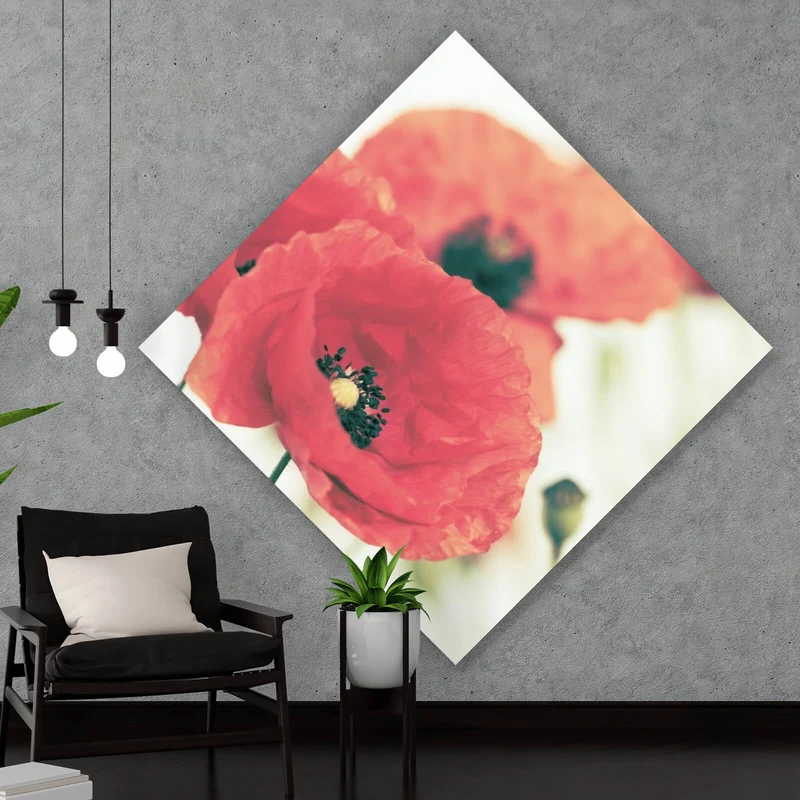 Leinwandbild Leuchtend rote Mohnblumen im sanften Morgenlicht Raute