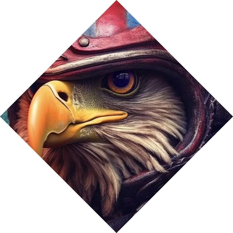 Leinwandbild Stolzer Adler in Lederjacke und Helm Raute